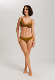 Gale Lace Accented Soft Cup Bra | Golden Cumin 70867-2803