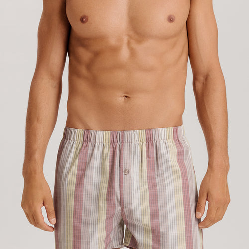Fancy Woven Boxer | Bluewood Stripe 74013-3019