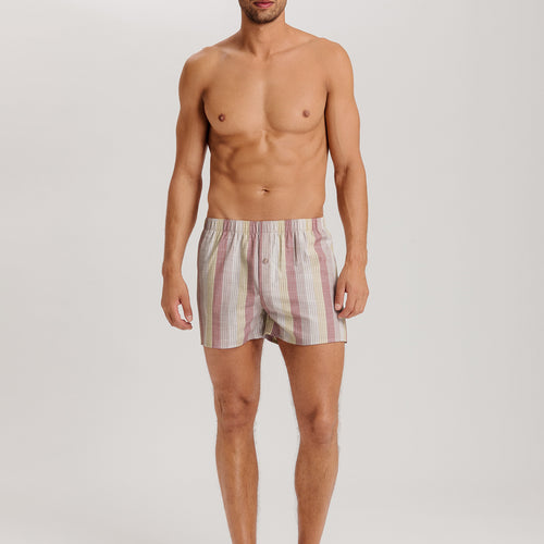 Fancy Woven Boxer | Bluewood Stripe 74013-3019