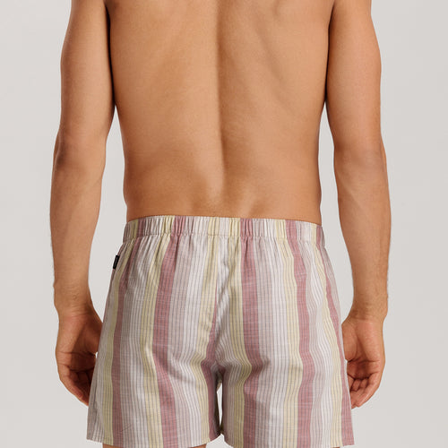Fancy Woven Boxer | Bluewood Stripe 74013-3019