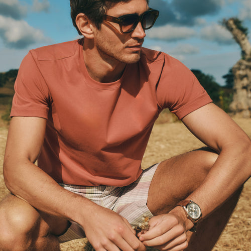 Living Shirts Jersey Cotton Crew Neck T-Shirt | Chutney 75050-2299
