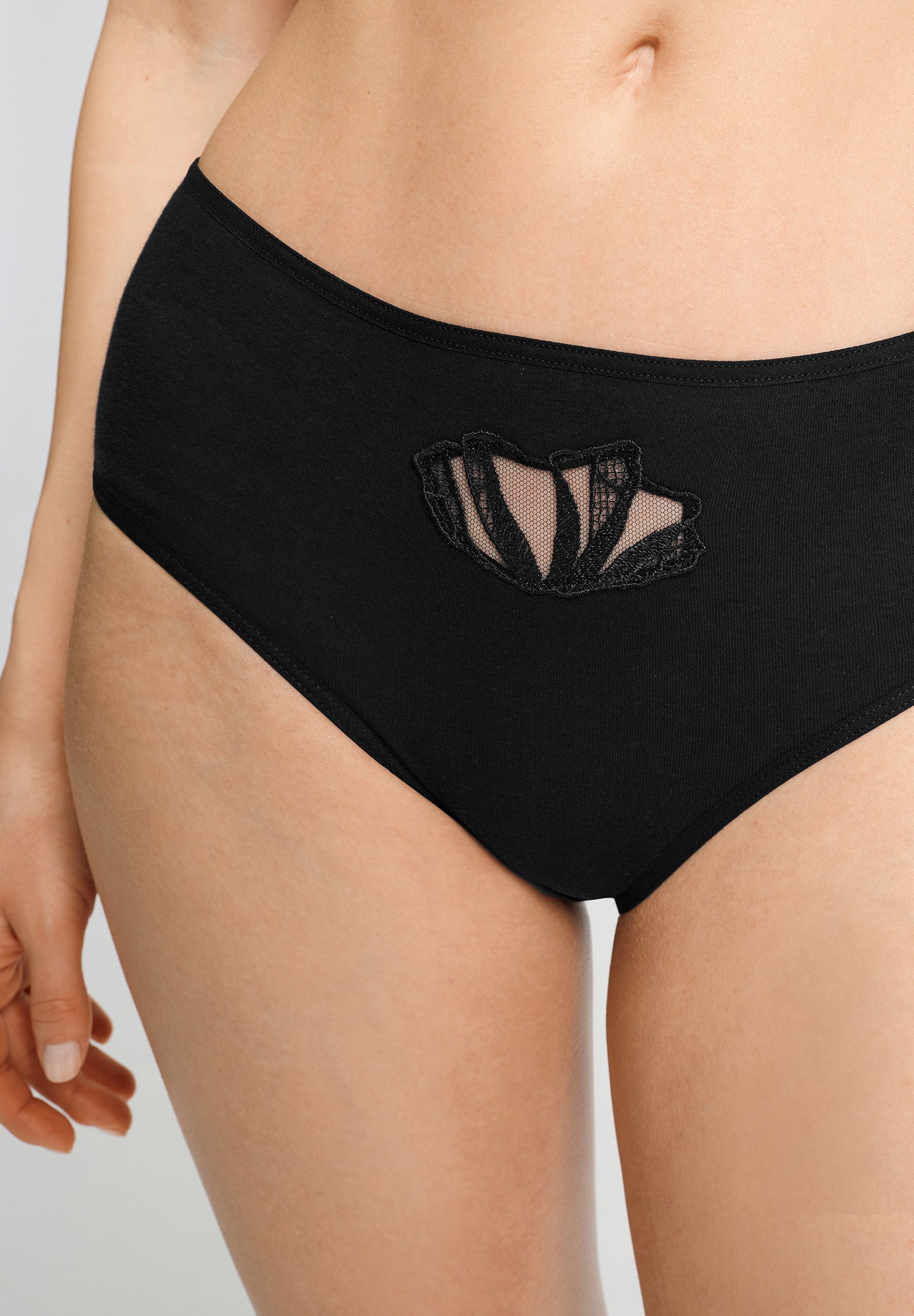 Rosaria Hicut Brief | Black 70785-019