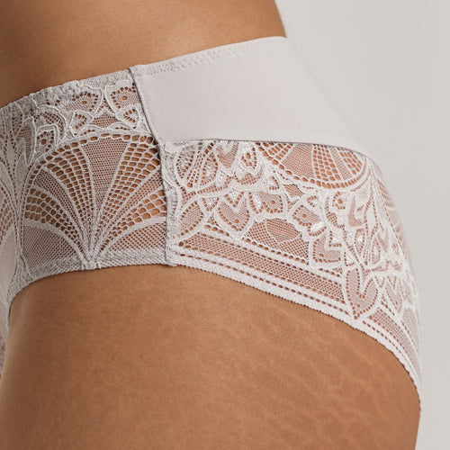 Holly Lace Hi-Cut Briefs | Silver Vapor 70824-2652