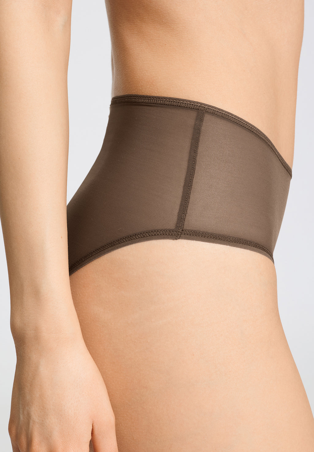 Smooth Illusion Semi-Transparent Tulle Full Brief | Natural Teak 70845-2768