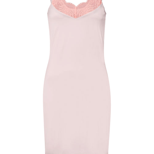 Gale Lace Trim V-Neck Bodydress | Rosewater 70873-2111