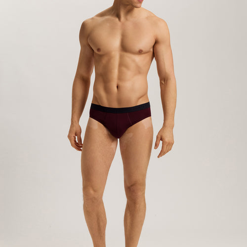 Cotton Essentials Briefs 2-Pack | Barolo / Ombre Blue 73075-3047