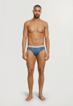 Cotton Essentials 2-Pack Cotton Briefs | Studio Green / Retro Bl 73075-3117