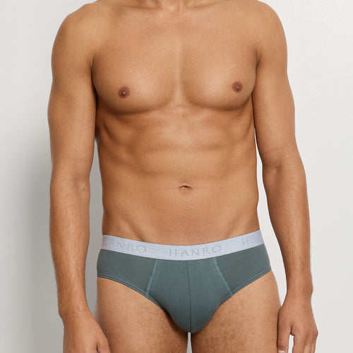 Cotton Essentials 2-Pack Cotton Briefs | Studio Green / Retro Bl 73075-3117