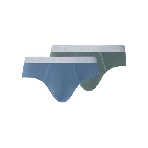 Cotton Essentials 2-Pack Cotton Briefs | Studio Green / Retro Bl 73075-3117