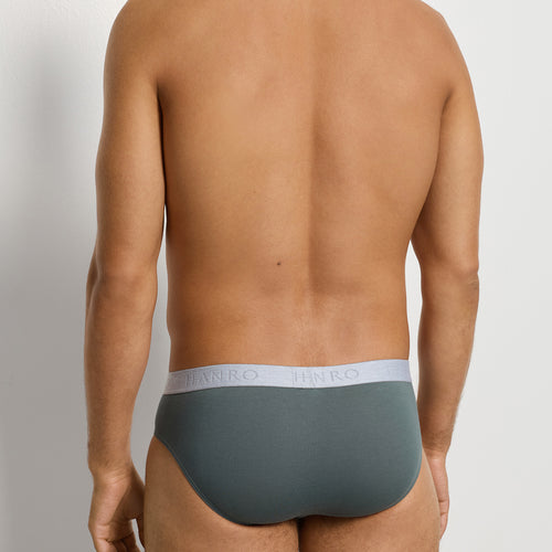 Cotton Essentials 2-Pack Cotton Briefs | Studio Green / Retro Bl 73075-3117