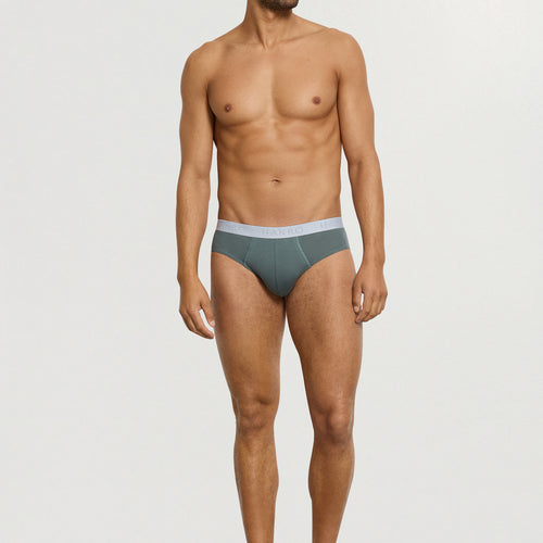 Cotton Essentials 2-Pack Cotton Briefs | Studio Green / Retro Bl 73075-3117