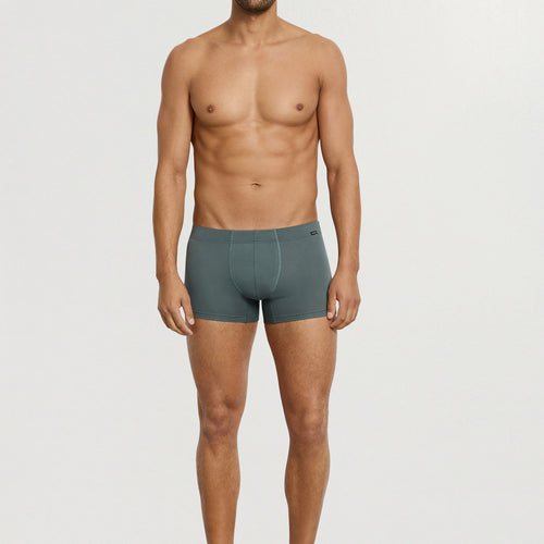 Cotton Essentials 2-Pack Cotton Boxer Brief With Covered Waistband | Studio Green / Retro Bl 73079-3117