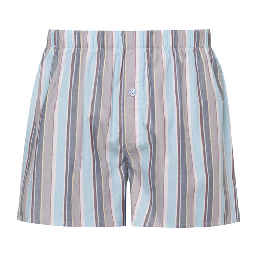 Fancy Woven Boxer | Jaunty Stripe 73116-2358