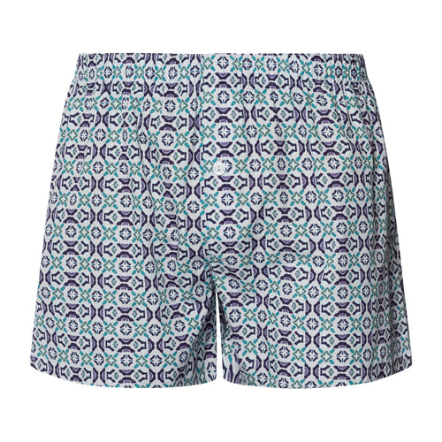 Fancy Woven Boxer | Tinted Mosaic 74013-3001