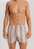 Fancy Woven Boxer | Bluewood Stripe 74013-3019