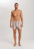 Fancy Woven Boxer | Bluewood Stripe 74013-3019