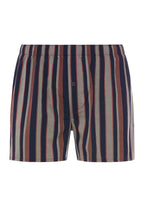 Fancy Woven Boxer | Pinecone Stripes 74017-3128