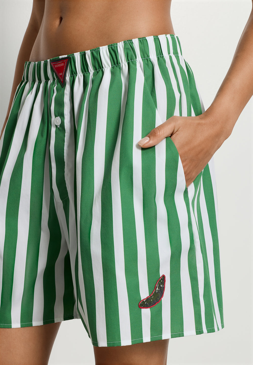 Charlotte Adam Short Pants | Souvenir Stripes 74723-3085