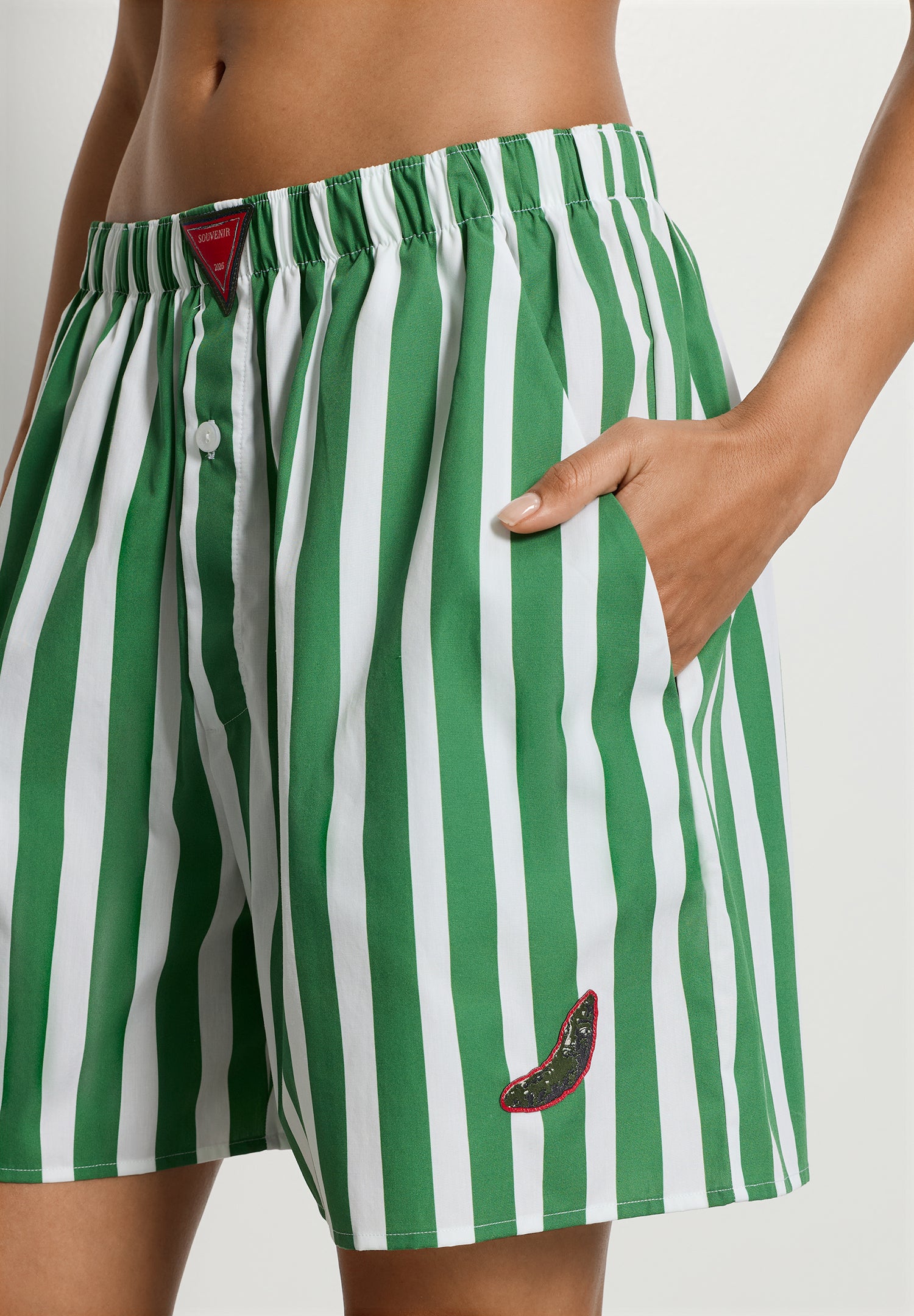 Charlotte Adam Short Pants | Souvenir Stripes 74723-3085