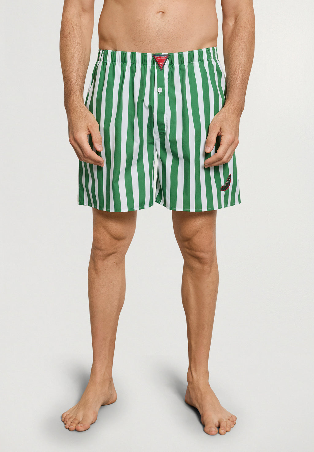 Charlotte Adam Short Pants | Souvenir Stripes 74723-3085