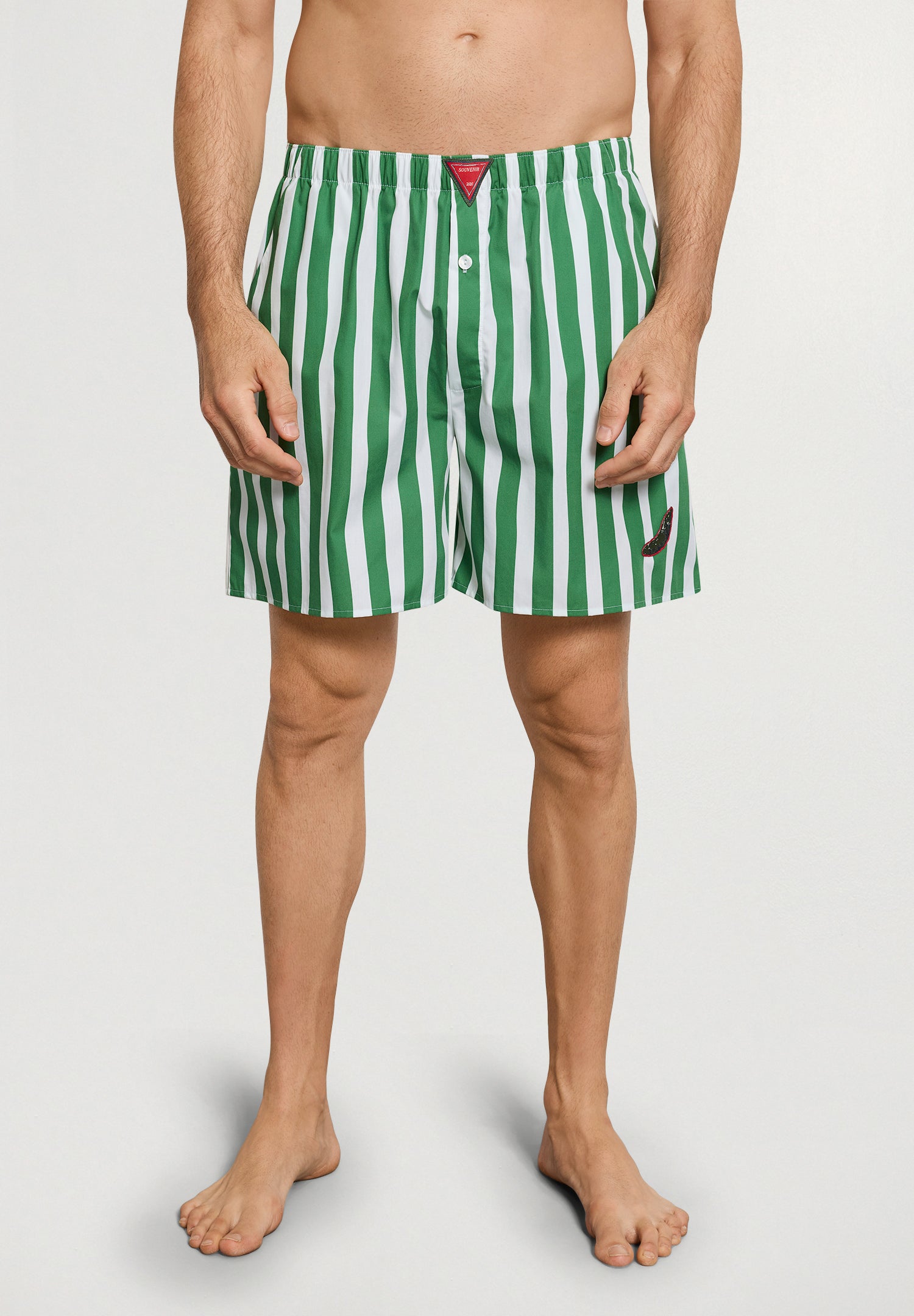 Charlotte Adam Short Pants | Souvenir Stripes 74723-3085