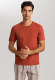Living Shirts Jersey Cotton Crew Neck T-Shirt | Chutney 75050-2299