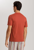 Living Shirts Jersey Cotton Crew Neck T-Shirt | Chutney 75050-2299