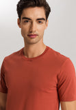 Living Shirts Jersey Cotton Crew Neck T-Shirt | Chutney 75050-2299