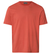 Living Shirts Jersey Cotton Crew Neck T-Shirt | Chutney 75050-2299