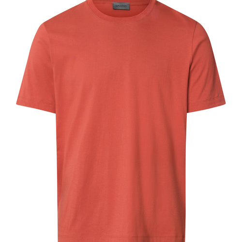 Living Shirts Jersey Cotton Crew Neck T-Shirt | Chutney 75050-2299