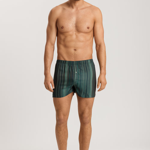 75877 Selection Boxers - 2864 Laurel Stripe