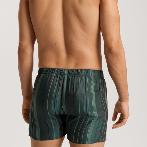 75877 Selection Boxers - 2864 Laurel Stripe