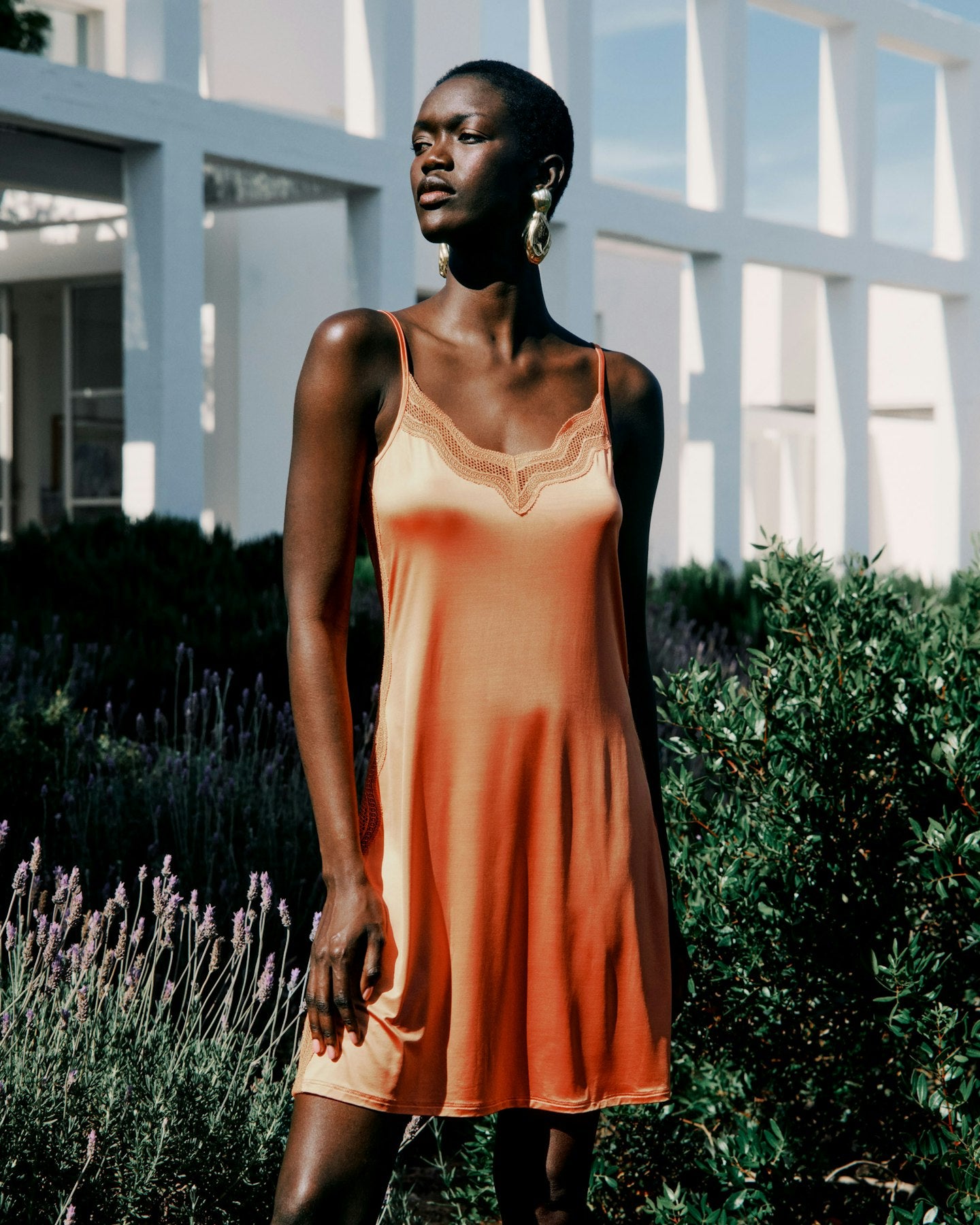 Cira Scalloped Lace Bodydress | Light Carnelian 70791-2288